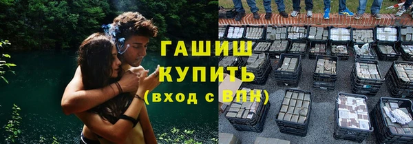 индика Алексеевка