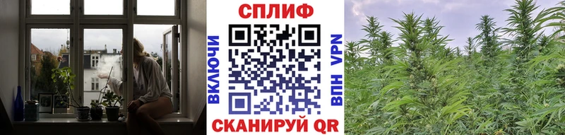 МАРИХУАНА гибрид  OMG ТОР  Саки 